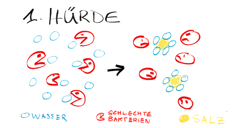 Grafik-Trocknung-Wurst-1