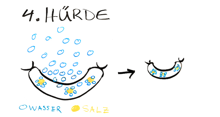 Grafik-Trocknung-Wurst-4