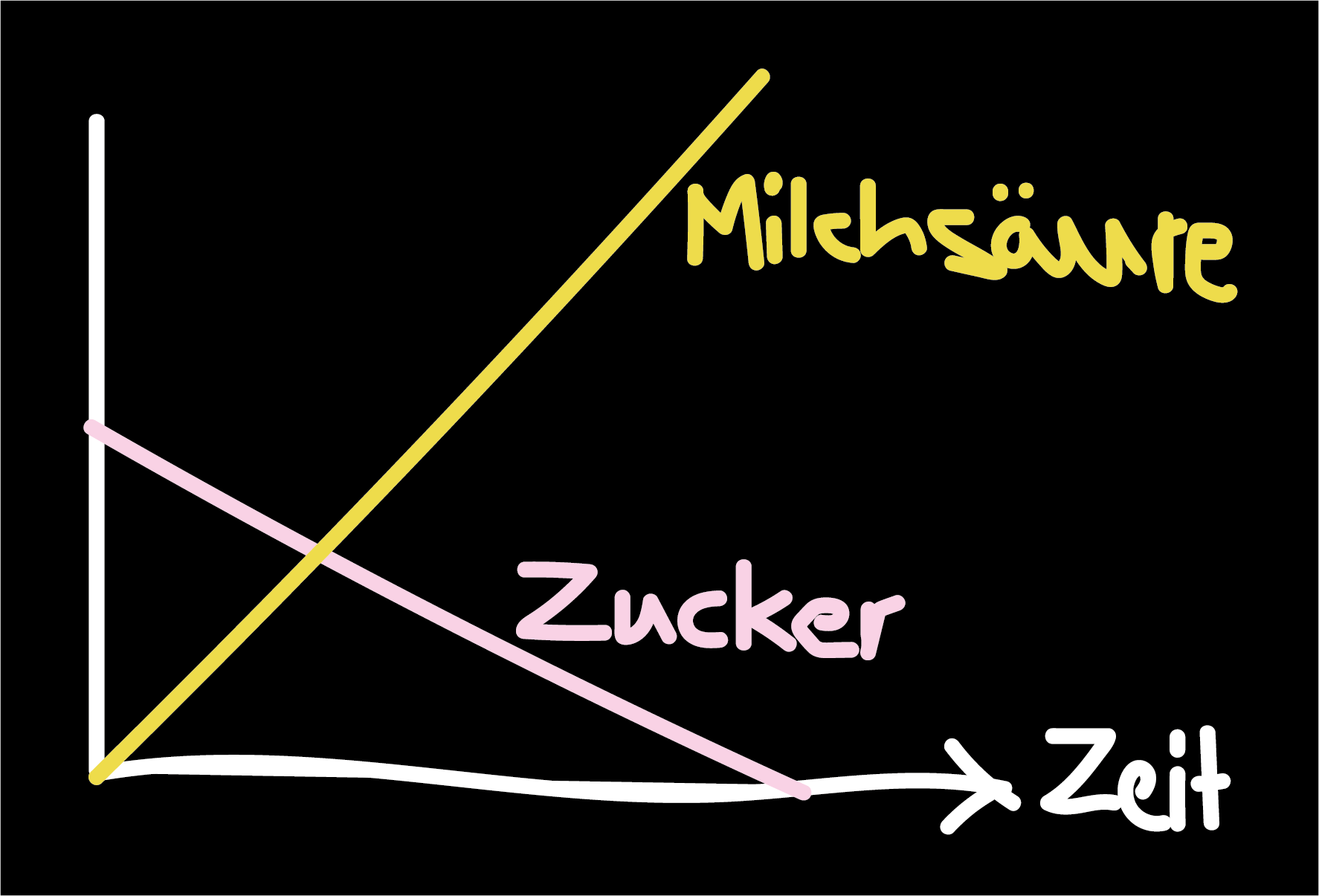Grafik Zuckerabbau Wurst
